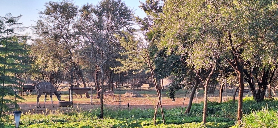 5 Bedroom Property for Sale in Koster North West